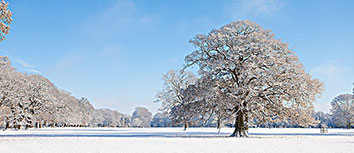 新西兰运动员霸气登顶，风光无限