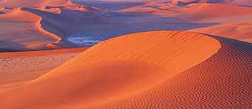 山东英雄豪取连胜，积极向前迈进